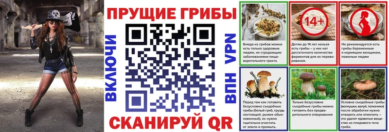 Купить закладки  Волоколамск  Галлюциногенные грибы прущие грибы 